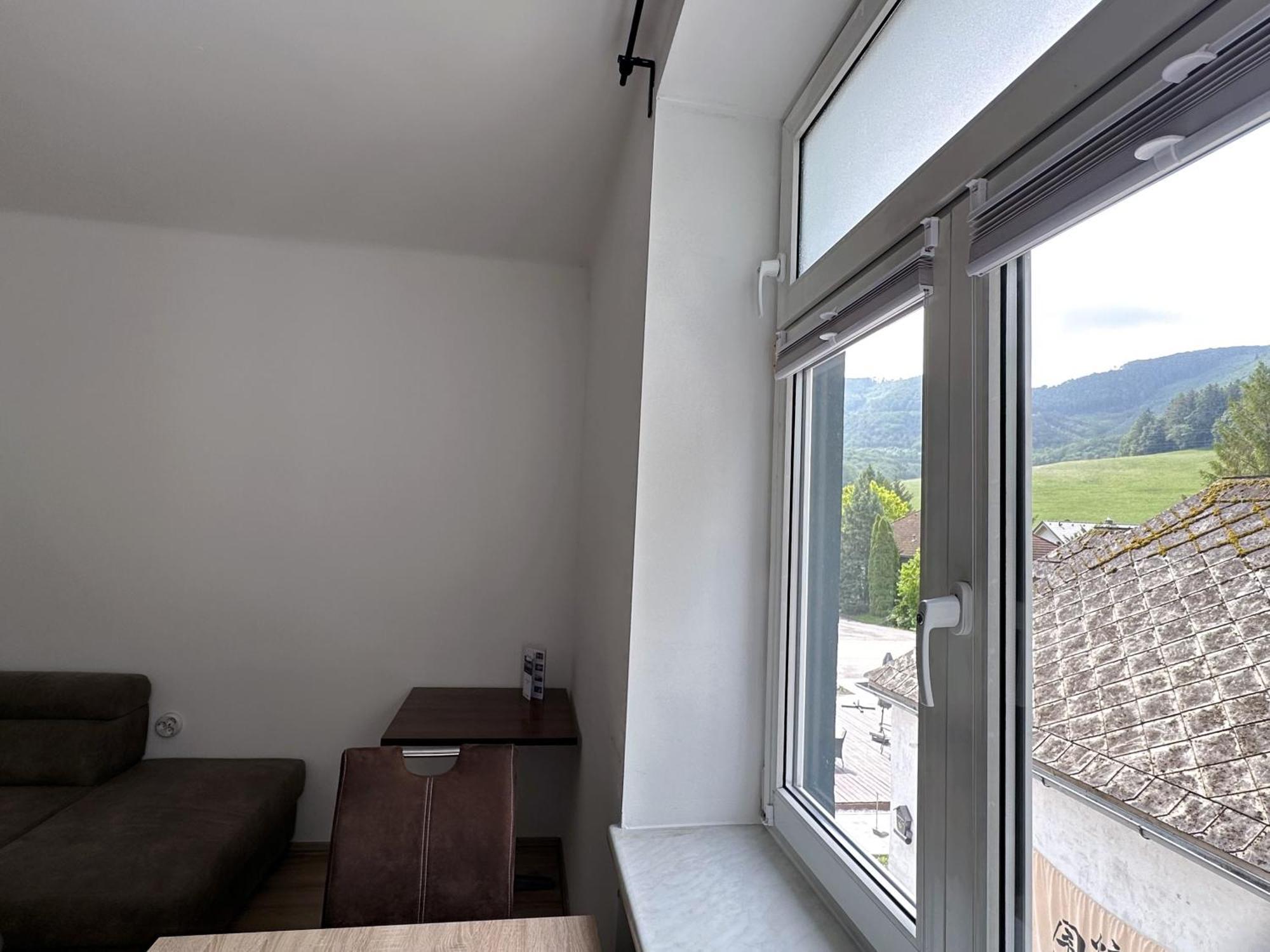 Up Resistances G Apartment Baden Exterior photo